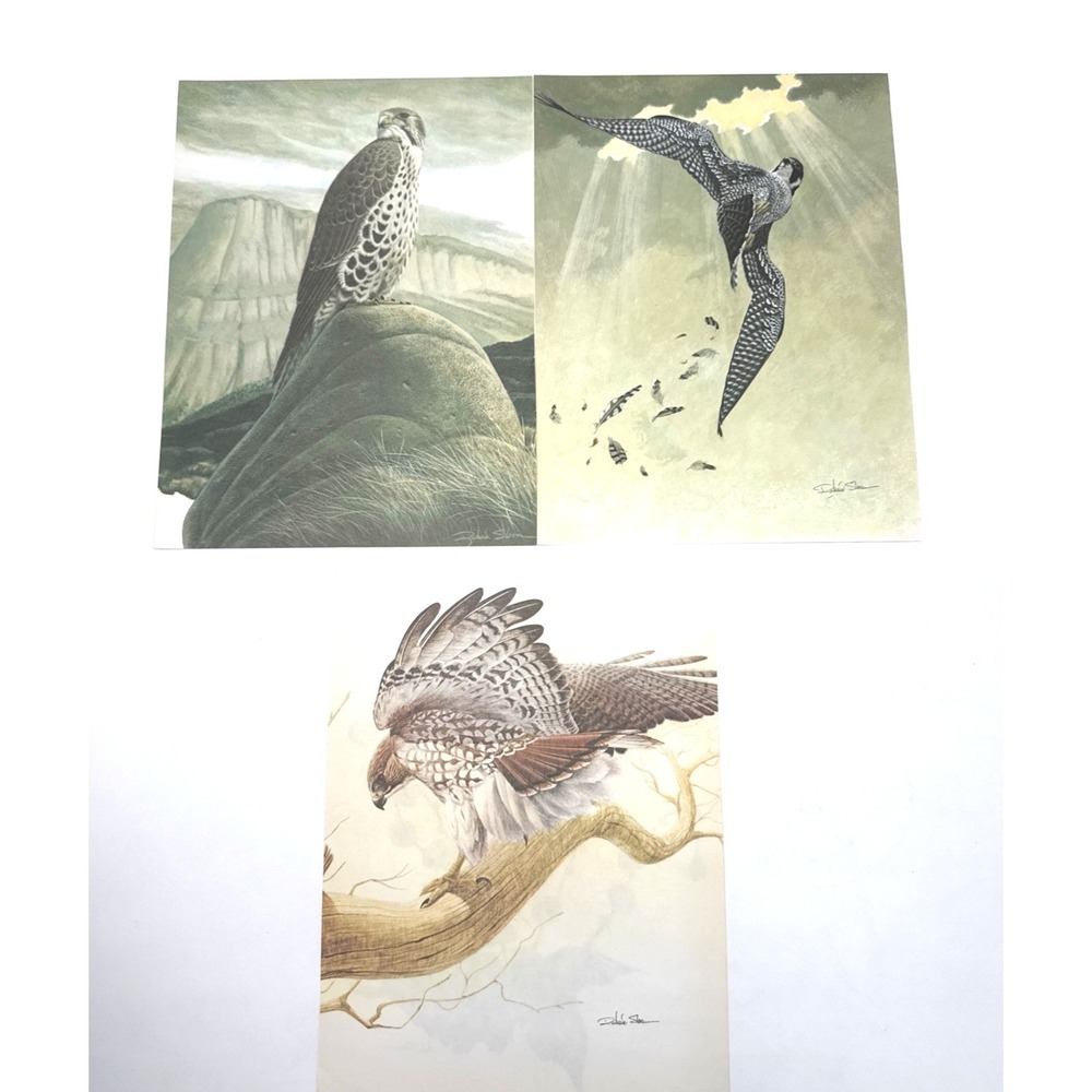 Richard Sloan Book Pages Birds Set of 3 Hawks  8.5 x 11